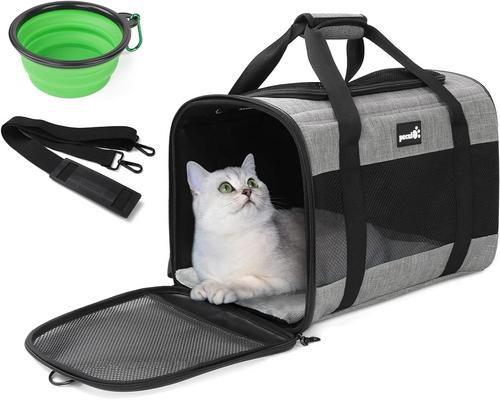a Pecute Carrier Bag for Cats and Puppies
