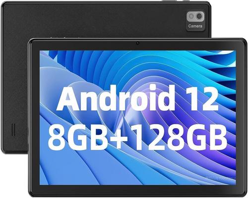a 10.1 inch Sgin Android 12 tablet