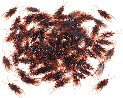 a set of 60 fake plastic cockroaches